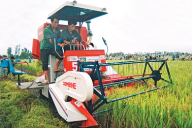 Hỗ trợ nhằm giảm tổn thất trong Đăng ký và nhận 60K 24 bao lì xì miễn phí mỗi ngày